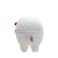 Tooth container pouch