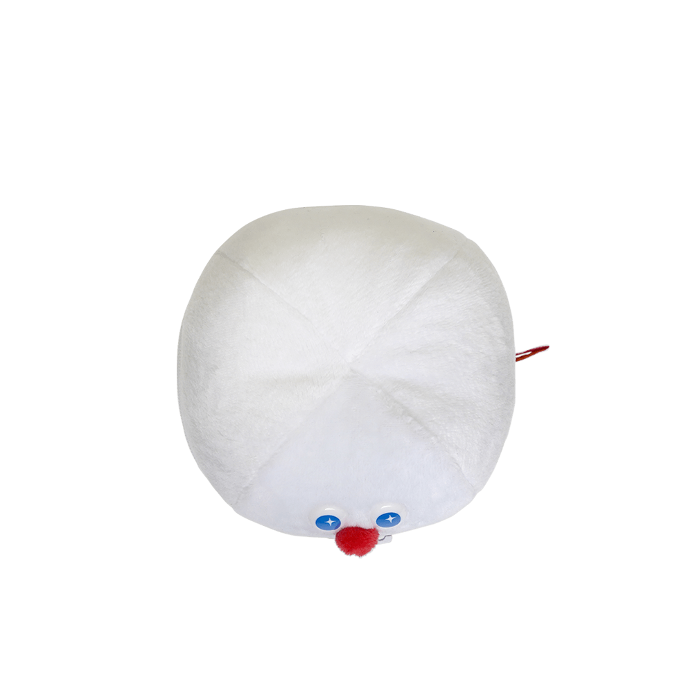 Tooth container pouch