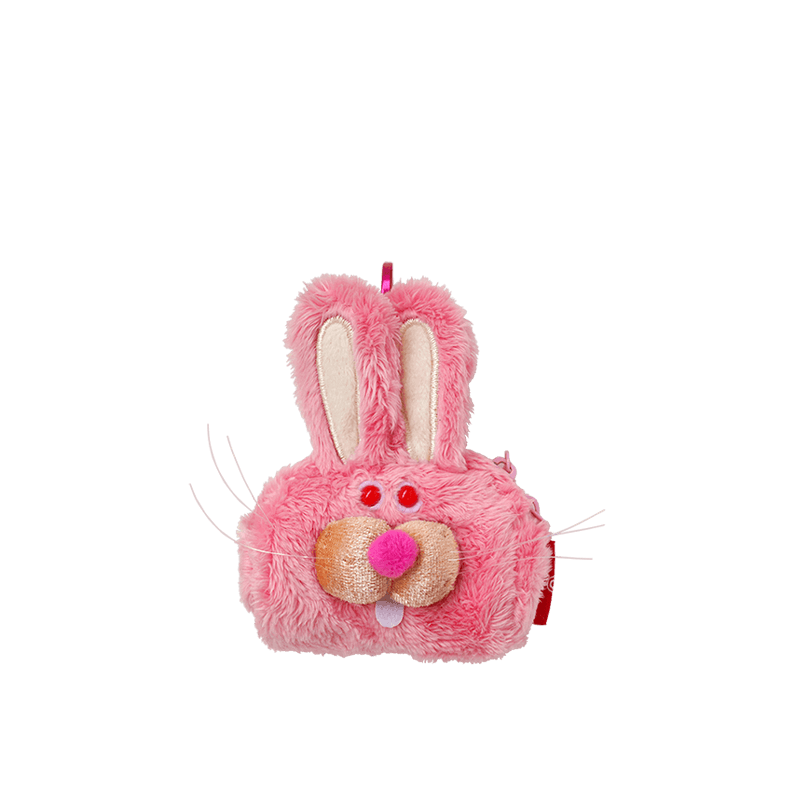 Mini Case for AirPods / Whiskers New Bunny