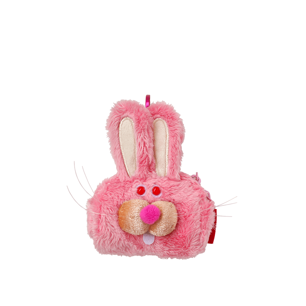 Mini Case for AirPods / Whiskers New Rabbit